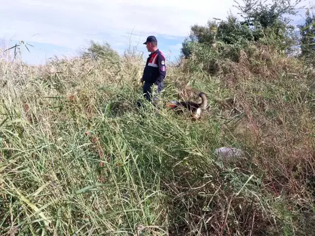 Karacabey'de Kaybolan 68 Yaşındaki Adamın Cansız Bedeni Bulundu