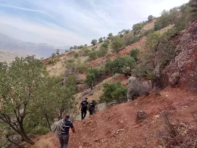 Siirt'te Mahsur Kalan Çoban ve Koyunları Kurtarıldı