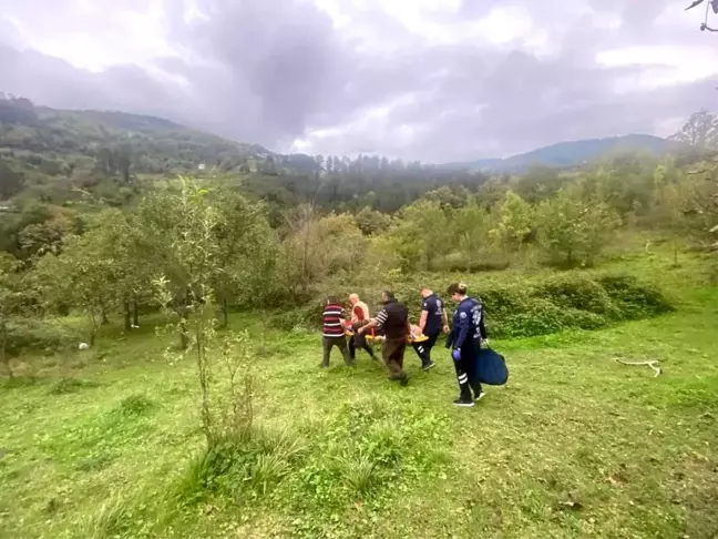 Bozkurt'ta Ağaçtan Düşen Vatandaşa 3 Saatte Ulaşıldı