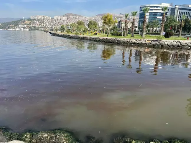 İzmir Körfezi'ndeki Kirlilik Sorunu ve Sedimentin Durumu