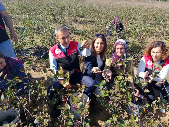 Erdek Kaymakamı, Dünya Kadın Çiftçiler Günü'nde Elif Ünver'i Ziyaret Etti