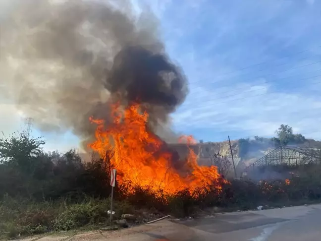 Antalya'da Çalılık Yangını Kontrol Altına Alındı