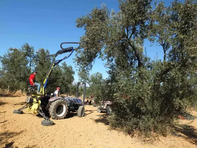 Balıkesirli Mühendis Zeytin Hasat Makineleri Üretip İhracat Yapıyor