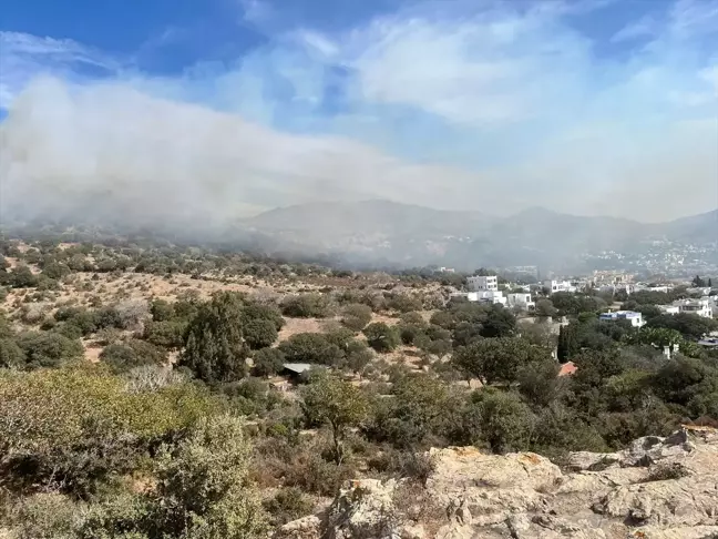 Bodrum'da Makilik Alanda Yangın Söndürüldü