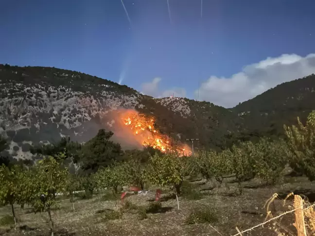 İzmir Kemalpaşa'da Orman Yangını Kontrol Altına Alındı