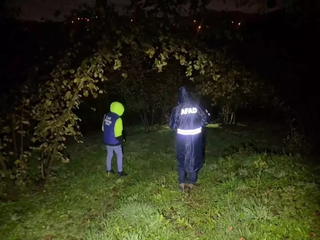 Kocaali'de Kestane Toplamaya Giden 72 Yaşındaki Adamın Cesedi Bulundu