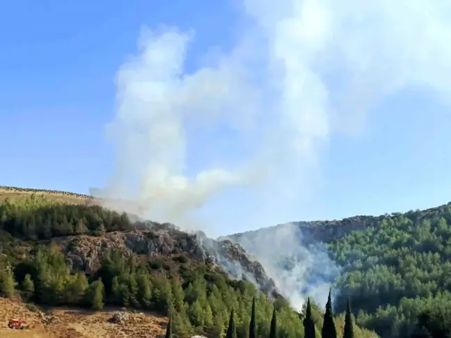 Hatay'da Orman Yangını Kontrol Altına Alındı