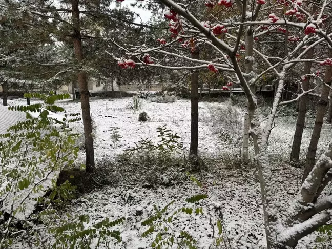 Ardahan'da Kar Manzarası