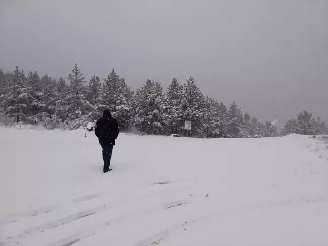 Koyulhisar Yüksek Kesimleri Karla Kaplandı