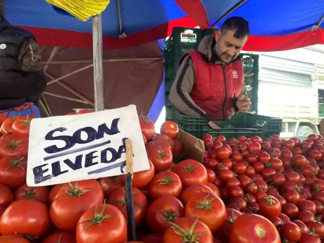 Eskişehir'de Sonbaharın Gelişiyle 'Son Elveda' Domateslerine Veda