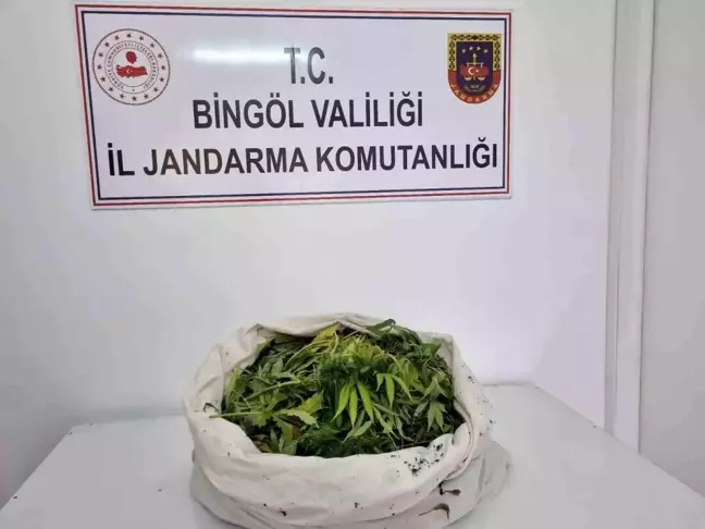 Bingöl'de Uyuşturucu Operasyonu: 11 Kilo Esrar Ele Geçirildi