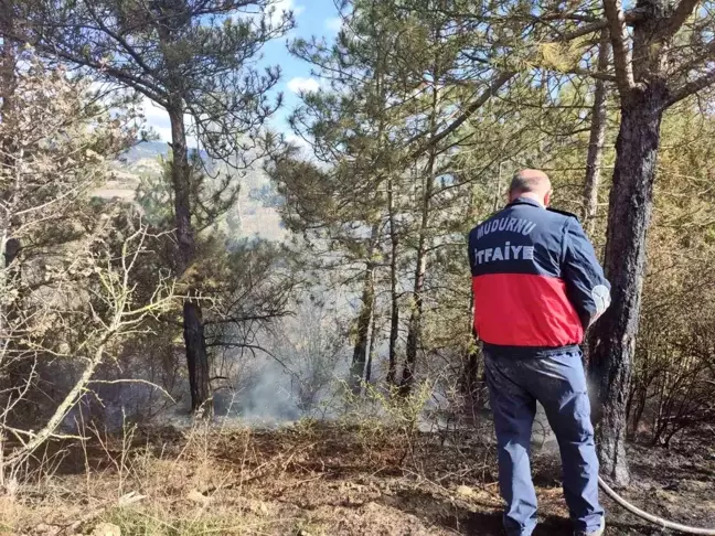 Bolu'da Orman Yangını Erken Müdahale ile Söndürüldü