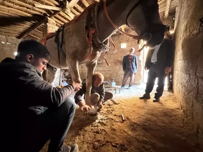 Şanlıurfa'da Nalbantlık Mesleği Yok Olma Tehlikesinde