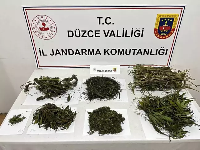 Düzce'de Uyuşturucu Operasyonu: 876 Gram Esrar Ele Geçirildi