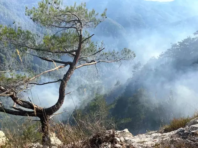 Hatay'da Amanoslar'daki Orman Yangını 28 Saatte Kontrol Altına Alındı