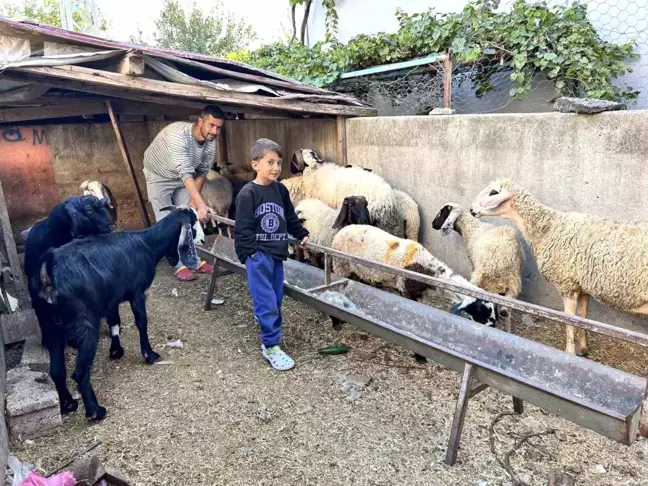 Depremzede Baba Koyunlarına Kavuştu