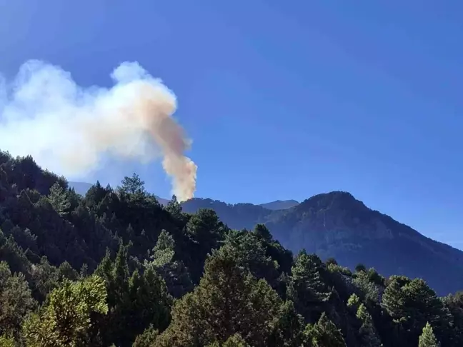 Denizli'de Orman Yangınına Müdahale Devam Ediyor