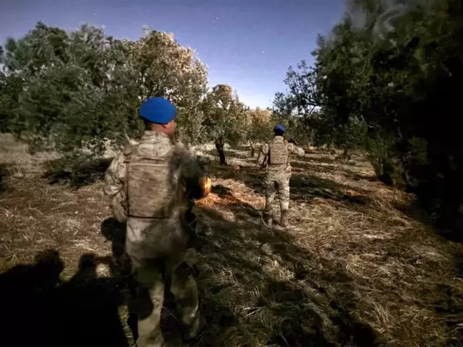 Manisa'da Zeytin Hırsızlıklarına Karşı Devriye Çalışmaları Artırıldı