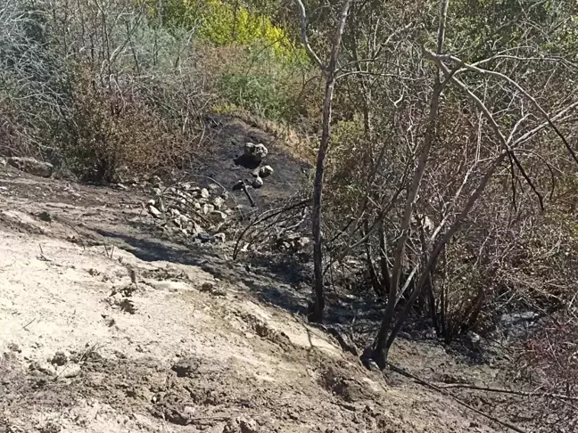 Malatya'nın Darende ilçesinde bahçe yangını kontrol altına alındı