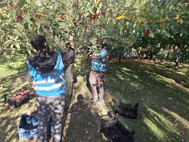 Vanlı Hayırsever Kadından Gazze'ye Destek