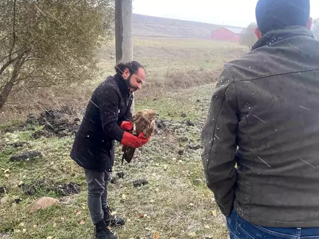 Polis Yaralı Atmacayı Kurtardı