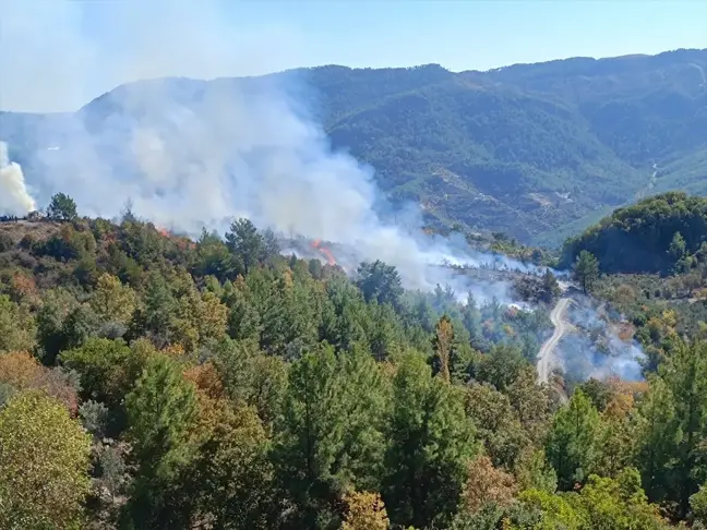 Alanya'da Zirai Alanda Yangın Kontrol Altına Alındı