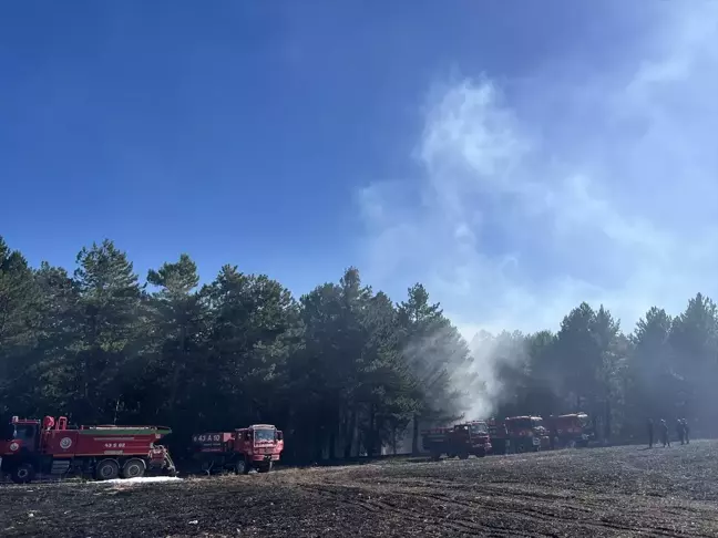 Domaniç'te Anız Yangını Ormanlık Alana Sıçradı