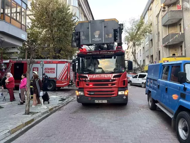 İstanbul'da Yangında Mahsur Kalan Tavşan İtfaiye Tarafından Kurtarıldı