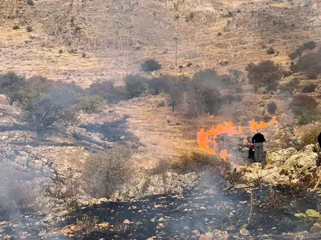 Mardin'in Yeşilli İlçesinde Ot Yangını Kontrol Altına Alındı