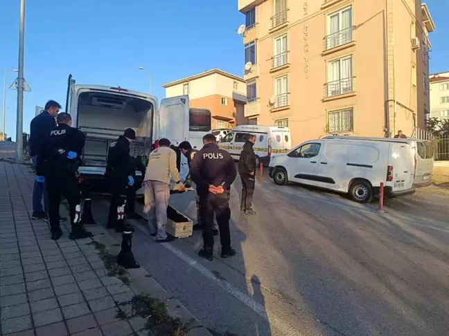 Pendik'te Kuzen Cinayeti: 18 Yaşındaki Genç Kız Darp Edilip Bıçaklandı