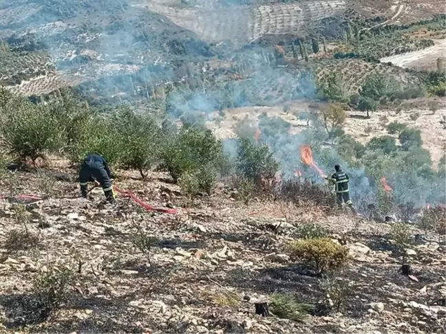 Hatay'da Zeytinlik Alanda Yangın Söndürüldü