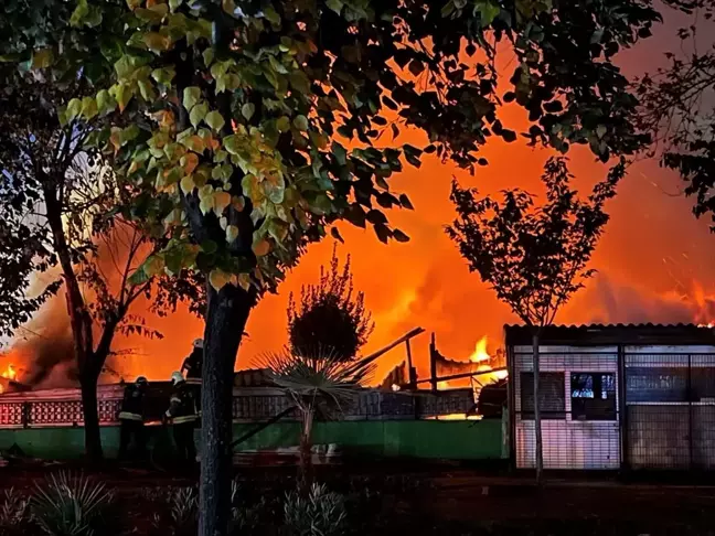 Gebze'deki Palet Deposunda Yangın: İtfaiye Ekibi Müdahalede Bulundu