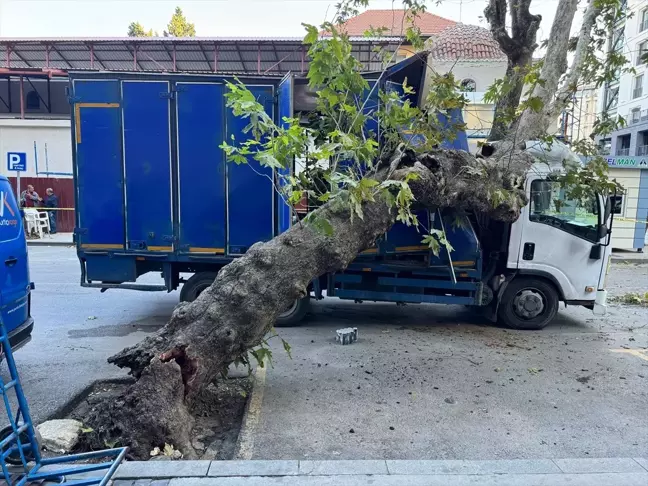 İzmir'de Kamyonet Ağaca Çarptı