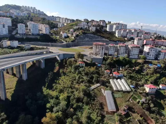 Trabzon'da Emeklilikten Sonra Tarıma Yönelen Kardeşler Organik Sebze Üretiyor