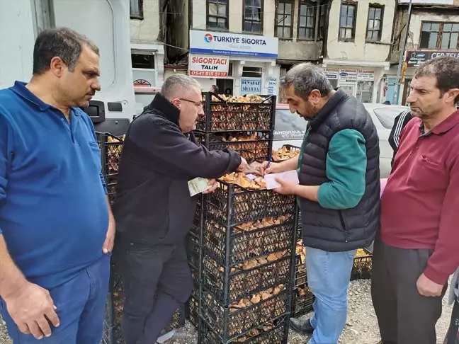 Boyabat'ta Mantar Üretimi Ekonomiye Katkı Sağlıyor