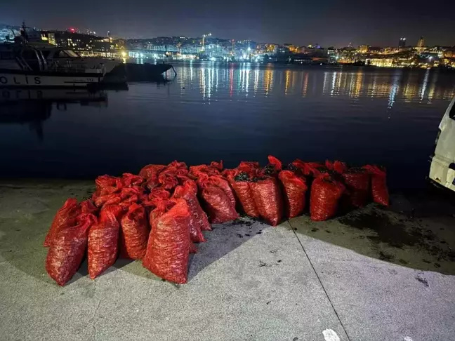 Üsküdar Kuzguncuk'ta Yasa Dışı Midye Operasyonu: 2 Ton Ele Geçirildi