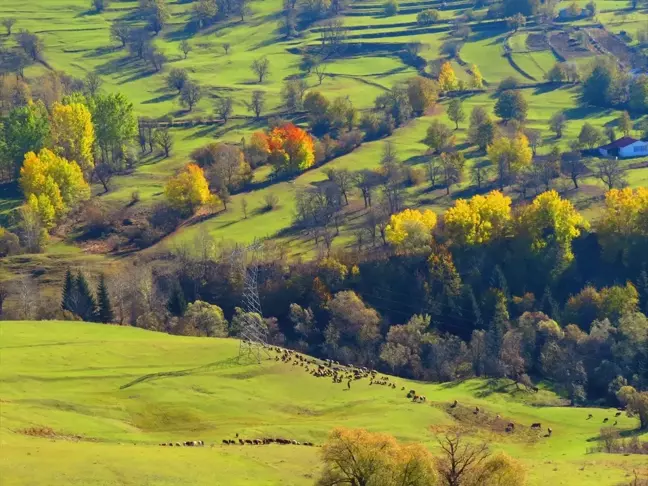 Şavşat'ta 4. Geleneksel Foto Jeep Safari Etkinliği Düzenlendi