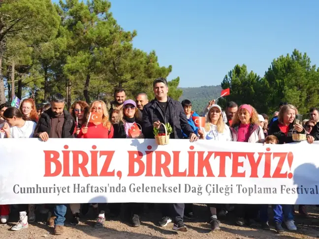 Ataşehir Belediyesi Geleneksel Dağ Çileği Toplama Festivali'ni Düzenledi