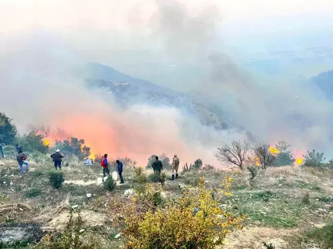 Hatay'da Orman Yangınına Müdahale Devam Ediyor