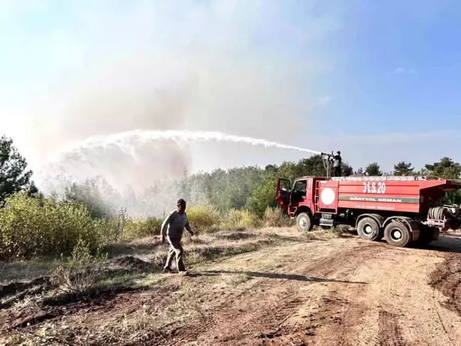 Hatay'da Orman Yangını Büyüyor