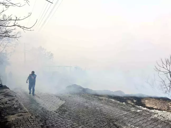 Hatay'da Orman Yangını Kontrol Altına Alındı