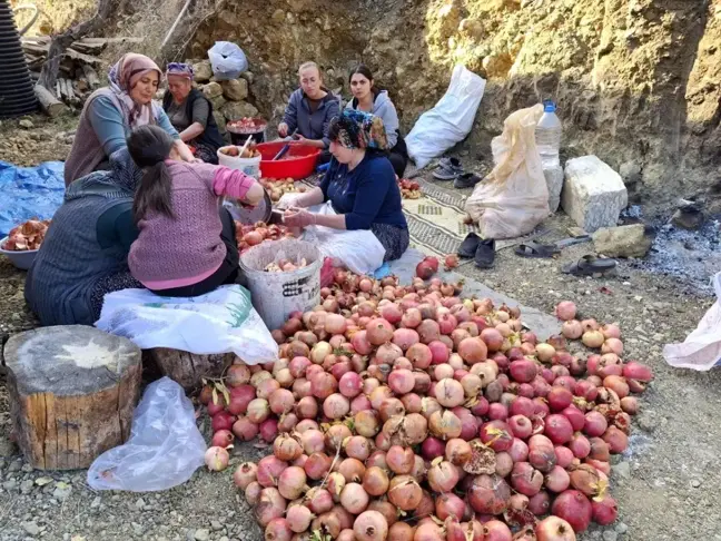 Adana Feke'de Nar Ekşisi Üretimi Başladı