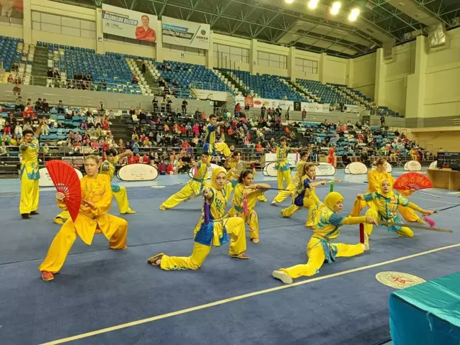 Türkiye Wushu Şampiyonası Sakarya'da Başladı