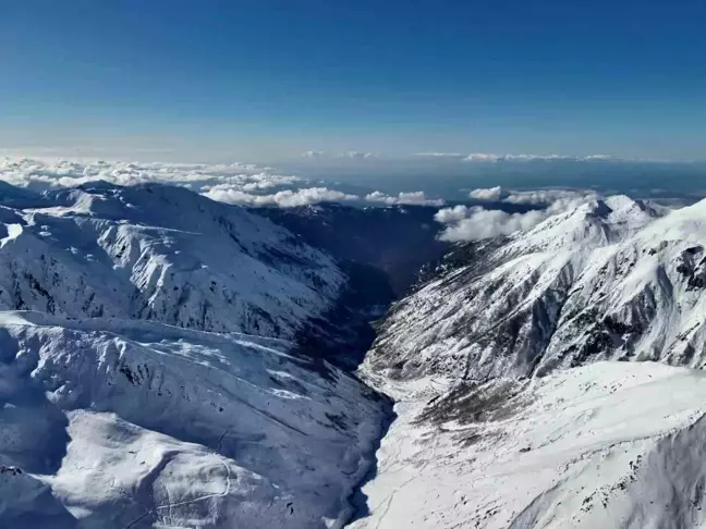 Rize'de Ayı Saldırısı Sonrası Kayıp 170 Koyun ve Keçi 20 Gündür Aranıyor