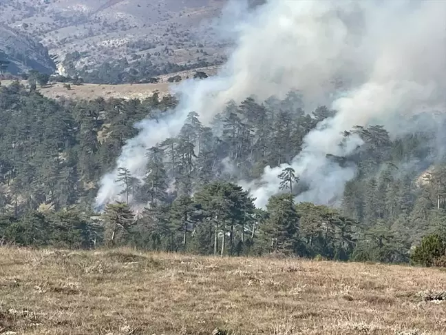 Bolu Göynük'te Orman Yangını Kontrol Altına Alındı