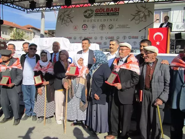 Kale'de Zeytin Kültür ve Sanat Festivali Coşkusu