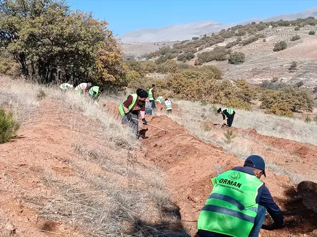 Kayseri'de Bal Ormanı Projesi hayata geçiriliyor