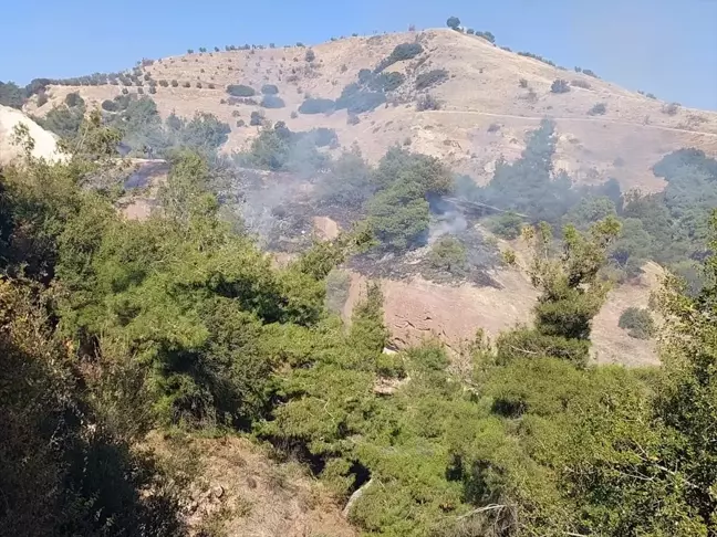 Manisa'da Tarım Arazisinde Çıkan Yangın Kontrol Altına Alındı