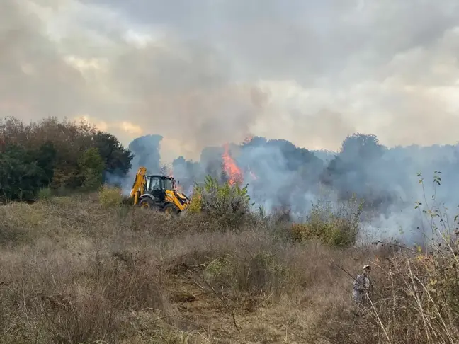 Çanakkale Biga'da Orman Yangını