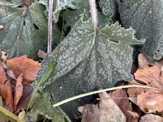 Kars ve Çevresinde Soğuk Hava ve Kar Etkili Oluyor